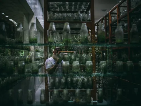 Greenhouse shelves filled with bottled plants and layered glass reflections