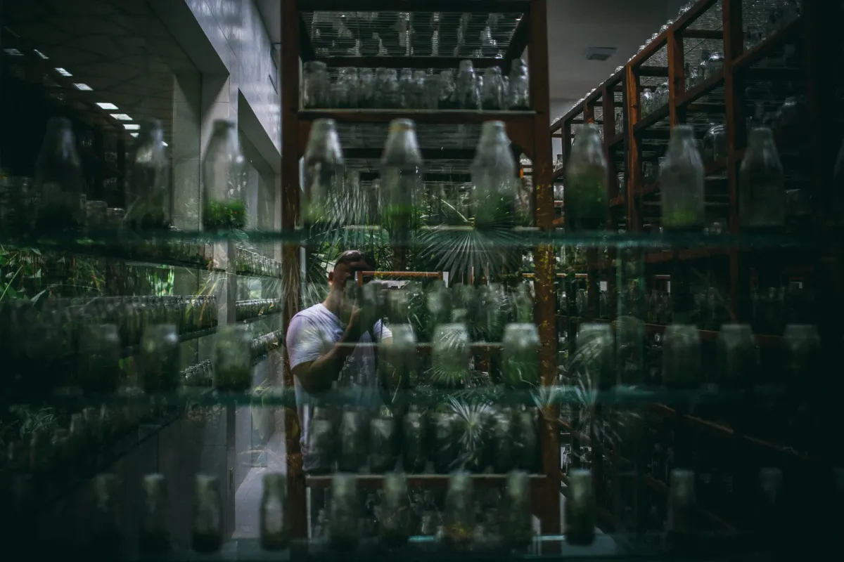 Greenhouse shelves filled with bottled plants and layered glass reflections