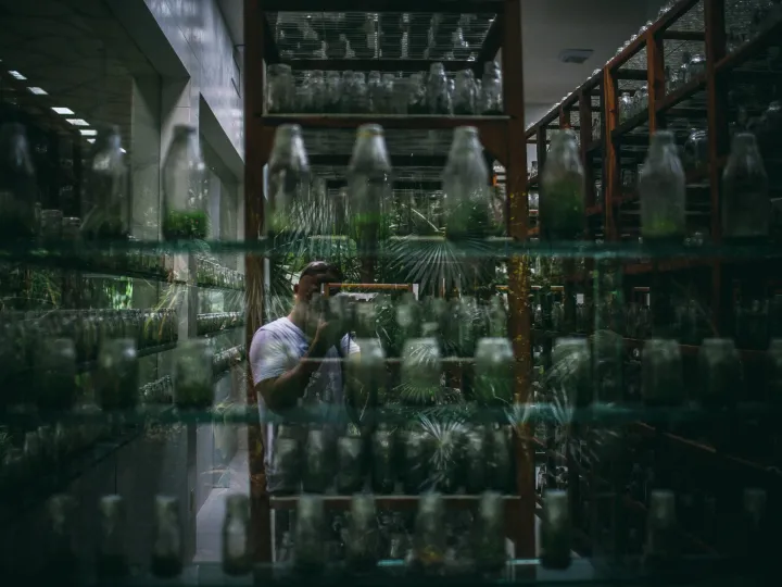 Greenhouse shelves filled with bottled plants and layered glass reflections