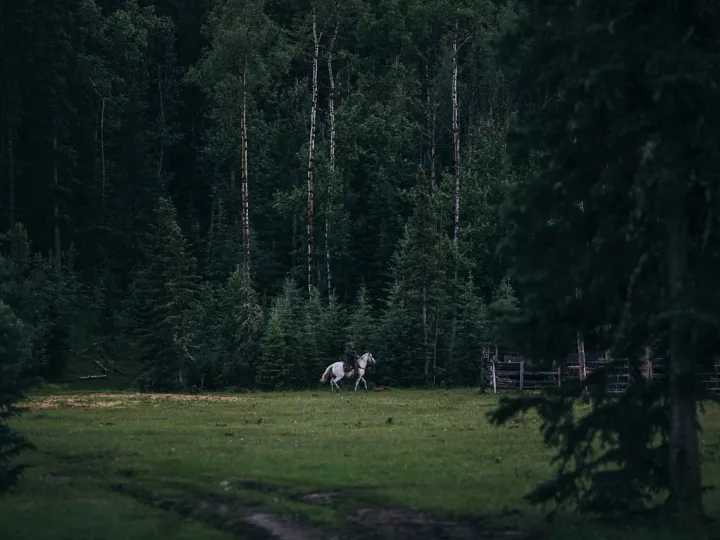 Two distant riders on horses crossing a green meadow surrounded by tall forest
