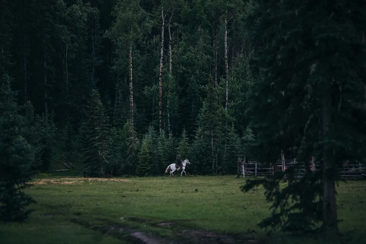 Two distant riders on horses crossing a green meadow surrounded by tall forest