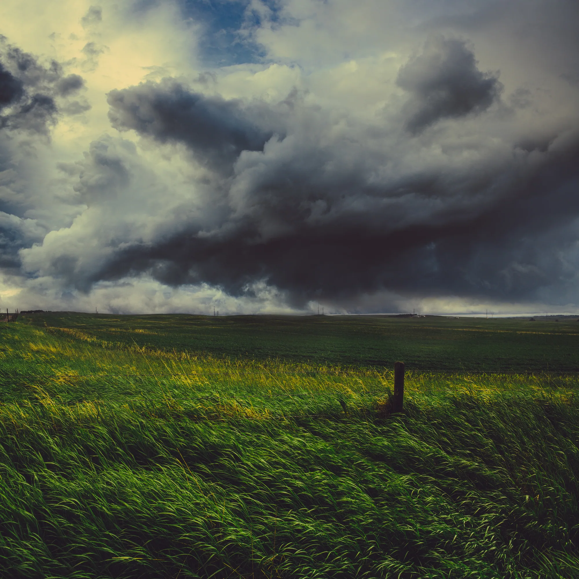 personal work photography image 91 by Rick Dang