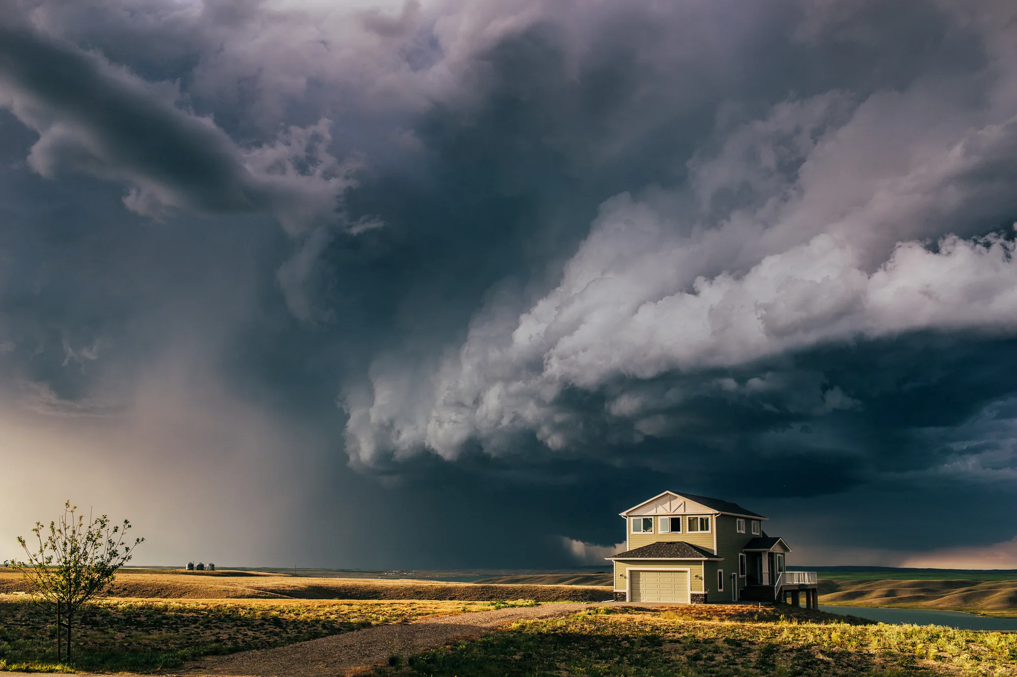 personal work photography image 92 by Rick Dang