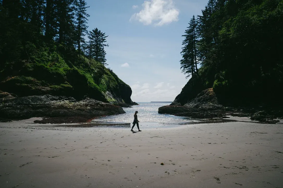 Person walking through a beach opening between dark coastal trees