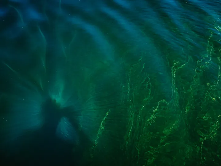 Abstract green and blue lake water seen from above
