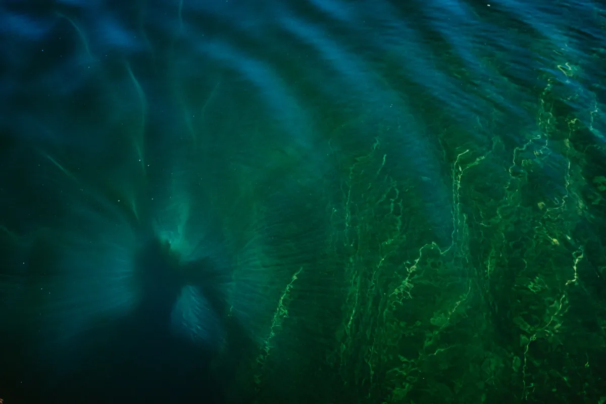 Abstract green and blue lake water seen from above