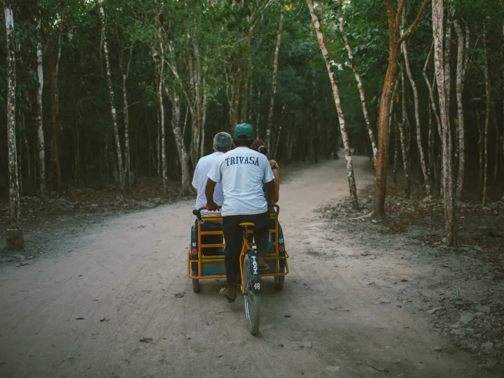Two people riding bicycles away on a shaded forest path