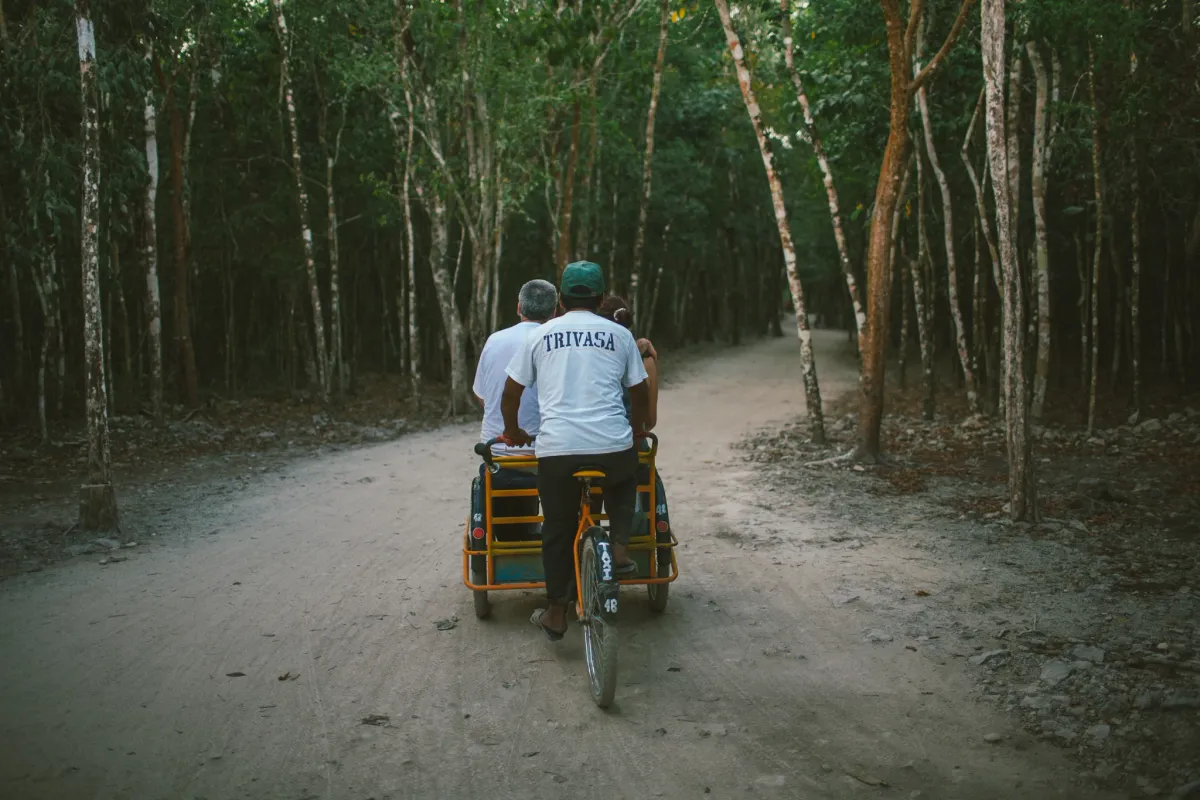 Two people riding bicycles away on a shaded forest path