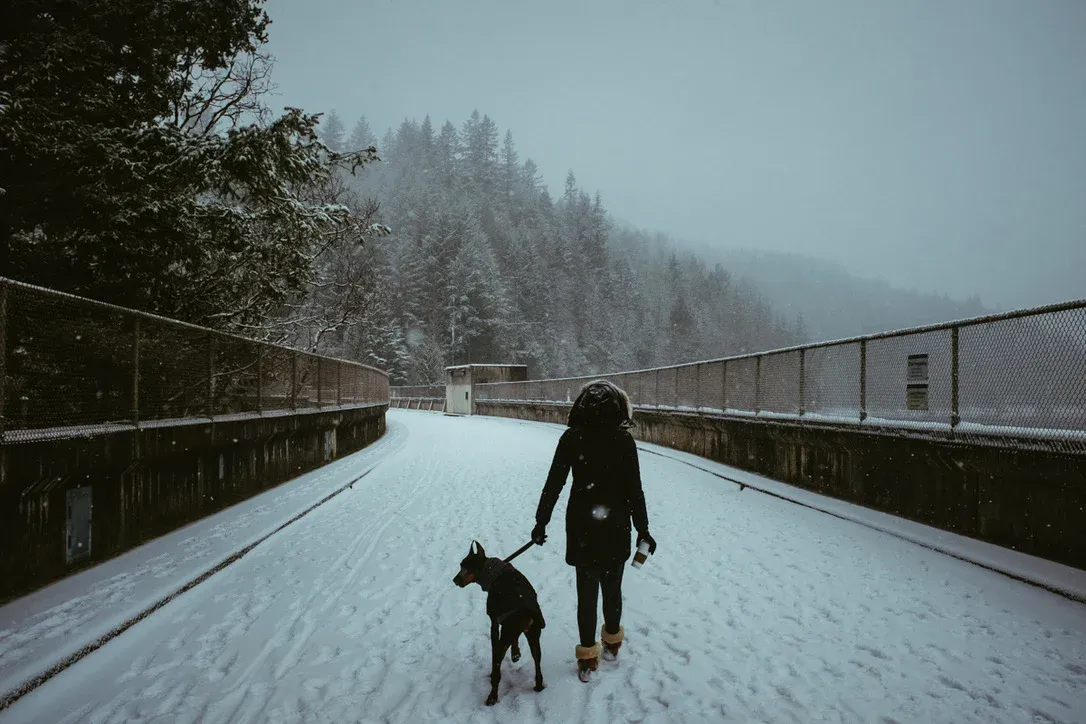 Person walking a dog across a snowy blue bridge