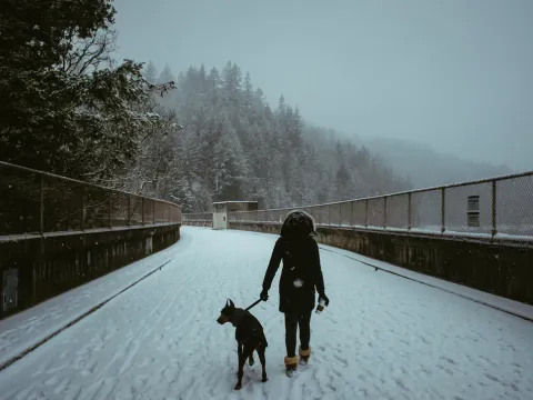 Person walking a dog across a snowy blue bridge