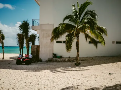 Red chairs beside white walls and palm trees on a bright coastal street