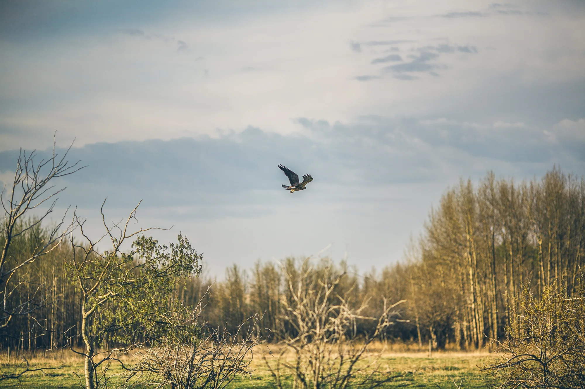 Personal documentary photograph from a quiet Alberta outdoor scene